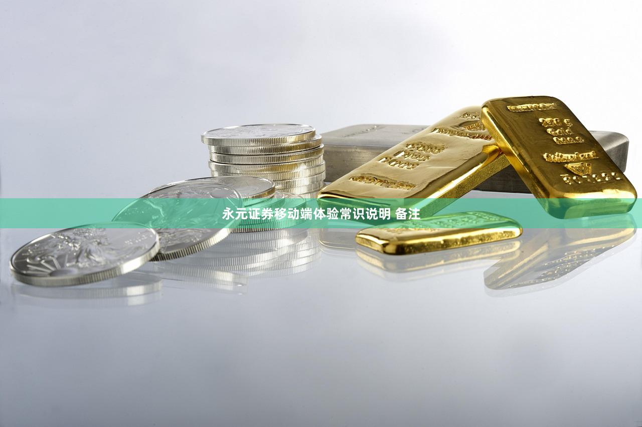 永元证券移动端体验常识说明 备注