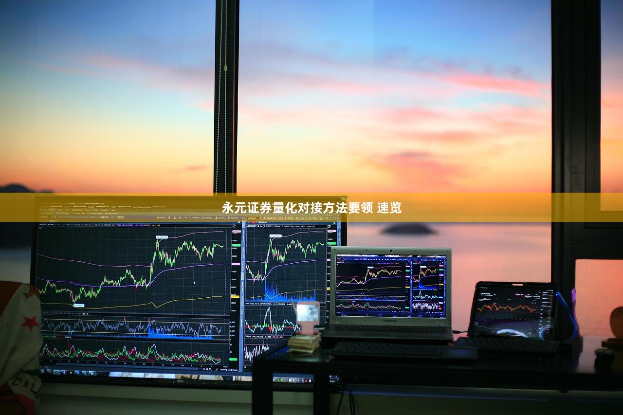 永元证券量化对接方法要领 速览