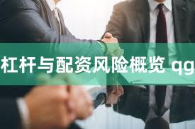 杠杆与配资风险概览 qg