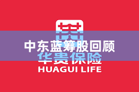 中东蓝筹股回顾