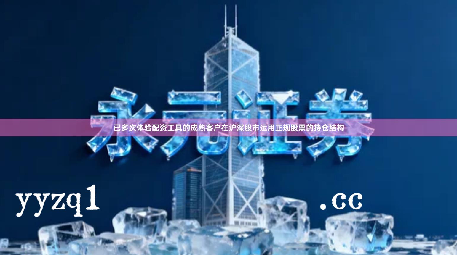 已多次体验配资工具的成熟客户在沪深股市运用正规股票的持仓结构